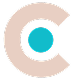 Technology Partner
