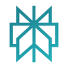 Perplexity icon